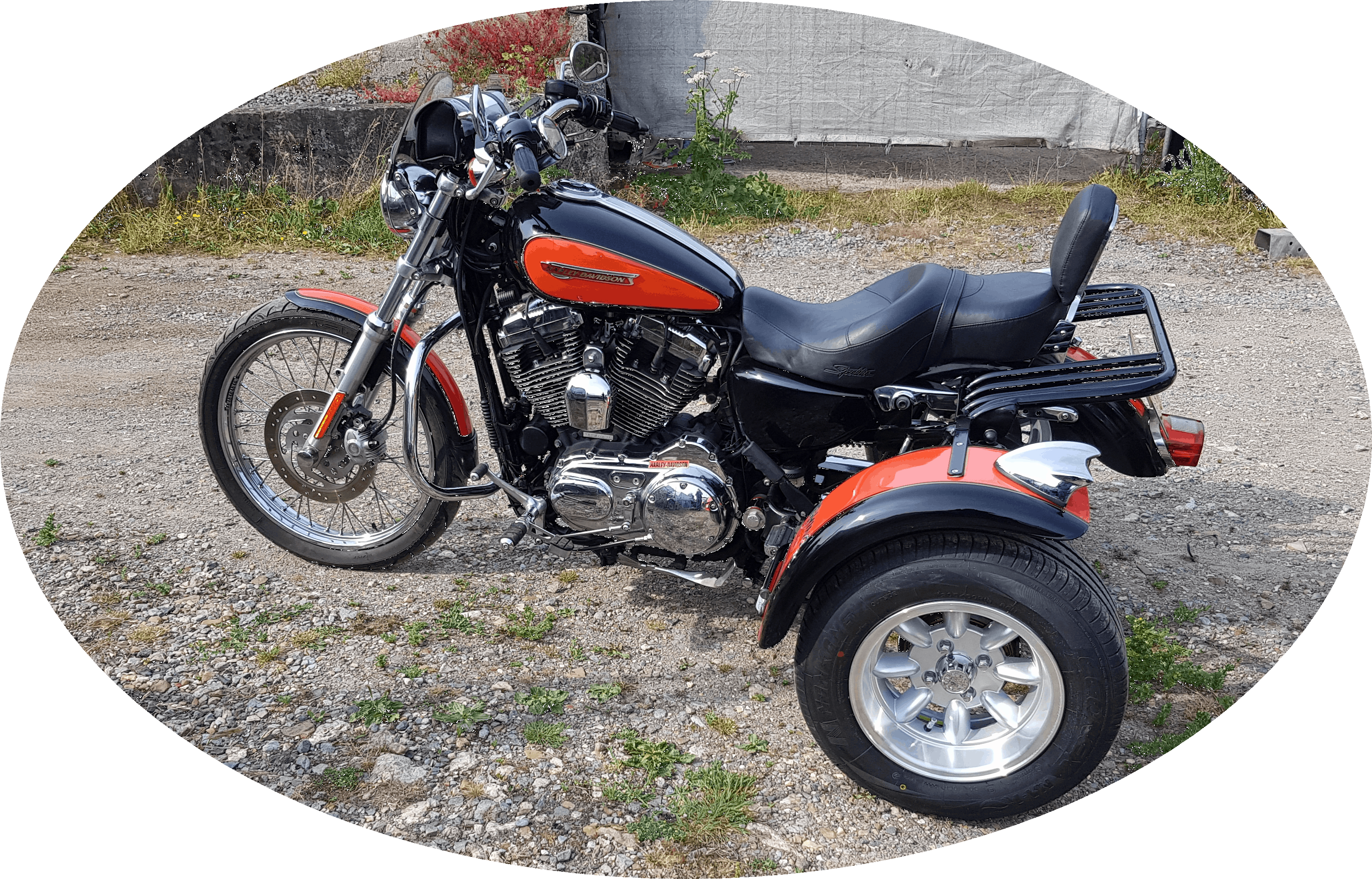 Two tone Sportster